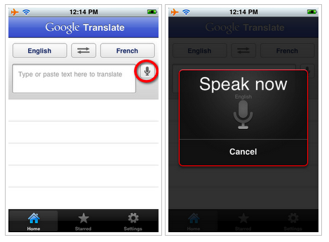 Google Translate iPhone App