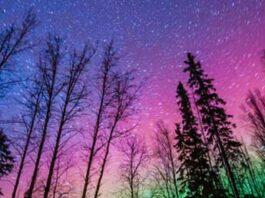 Catch the Northern Lights